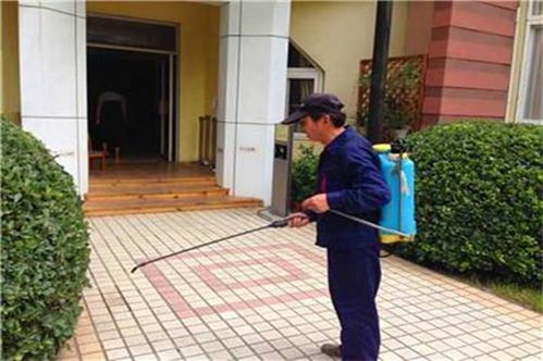 深圳清潔公司 深圳清潔公司 白蓮和清潔 優質商家