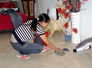 專業清潔服務，打造潔凈舒適的家居環境